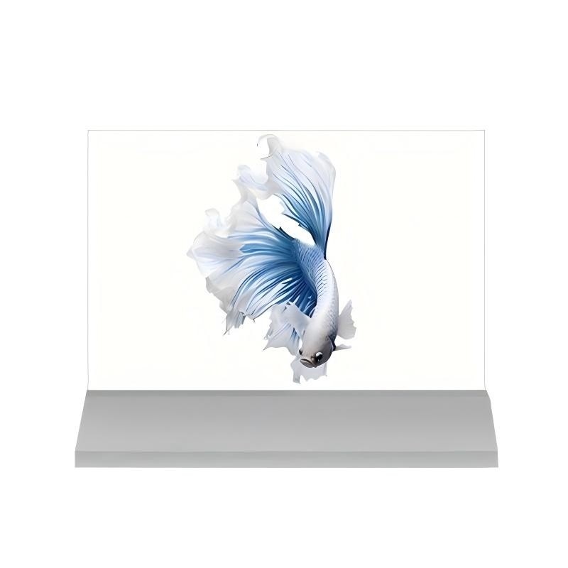 4K Advertising OLED Transparent Digital Display Screen with Aluminum Alloy Frame and Pen/Finger Touch Writing Method