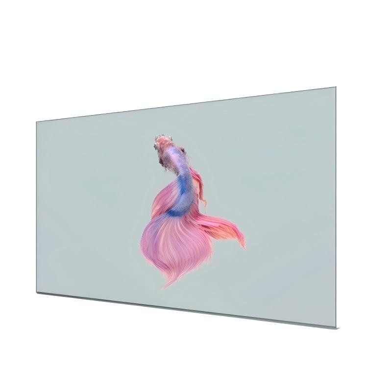 High Transparency Full Color Writing Method OLED Display Panel for Shopping Mall Advertising