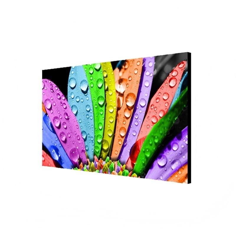 Aluminum Alloy Frame Transparent OLED Touch Display Advertising Player with High Brightness and 4K Ultra HD Resolution