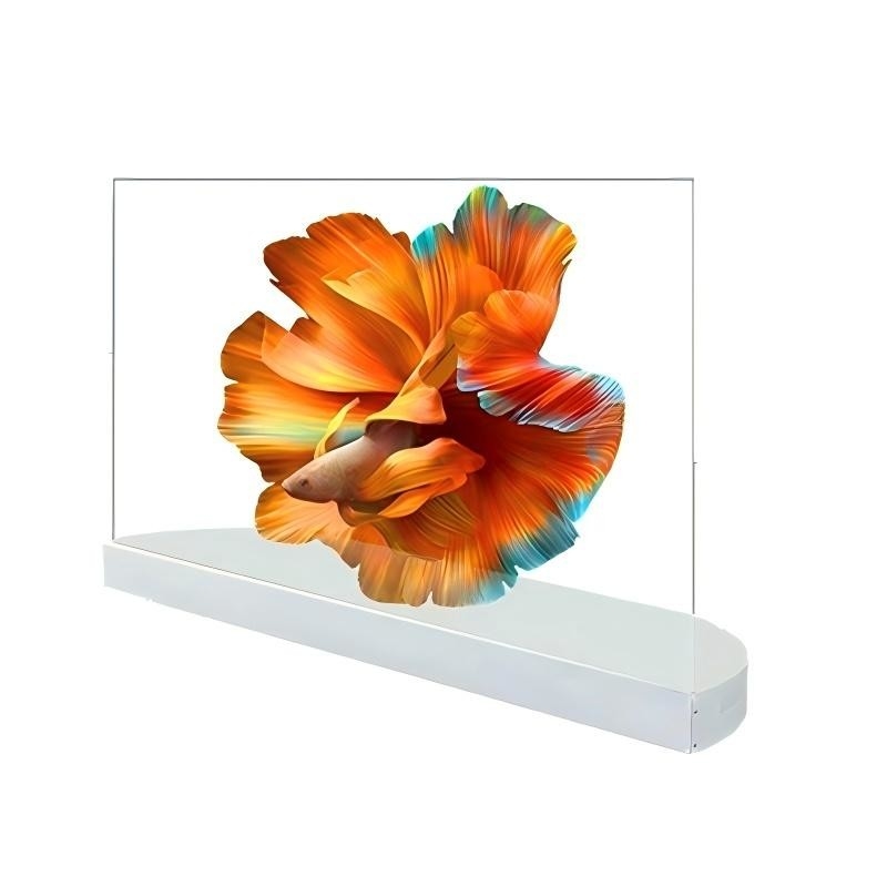 Indoor Digital Signage 4K Ultra HD Resolution Vertical Oled Transparent Screen Advertising Display with Pen/Finger Touch