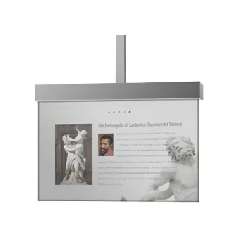 Commercial Intelligent Indoor Transparantcy OLED Advertising Display Player Vertical for Theaters Museum