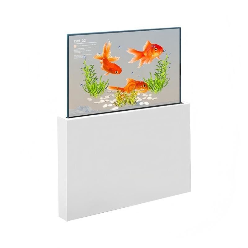 77 inch  Transparent OLED Display Screen LCD Touch Screens Digital Signage 4k OLED Transparent Display Panel