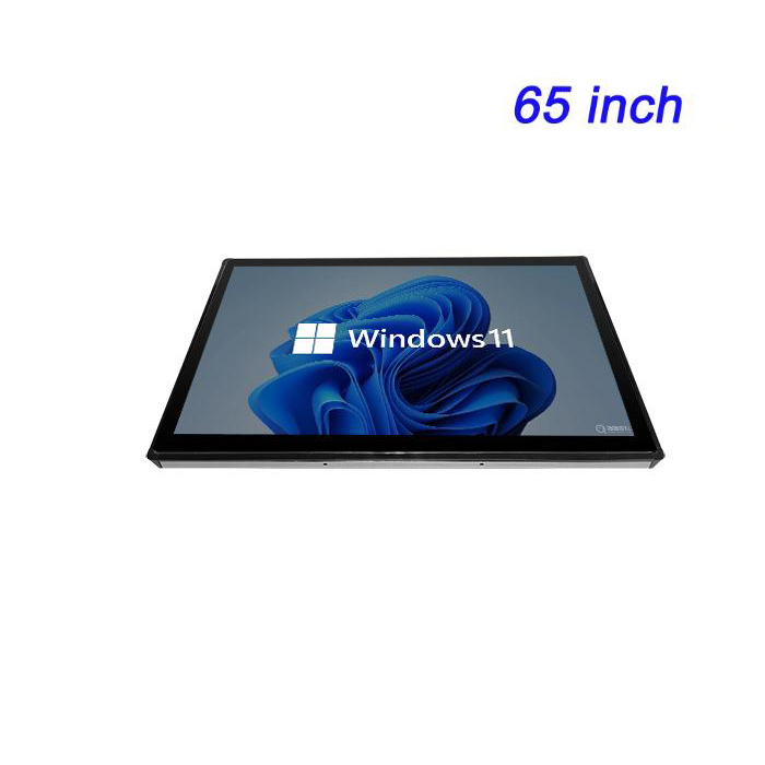 65 inch Cheap All in One Pc Industrial Panel Mount Monitor for Outdoor Lockers and Self-Service Kiosks