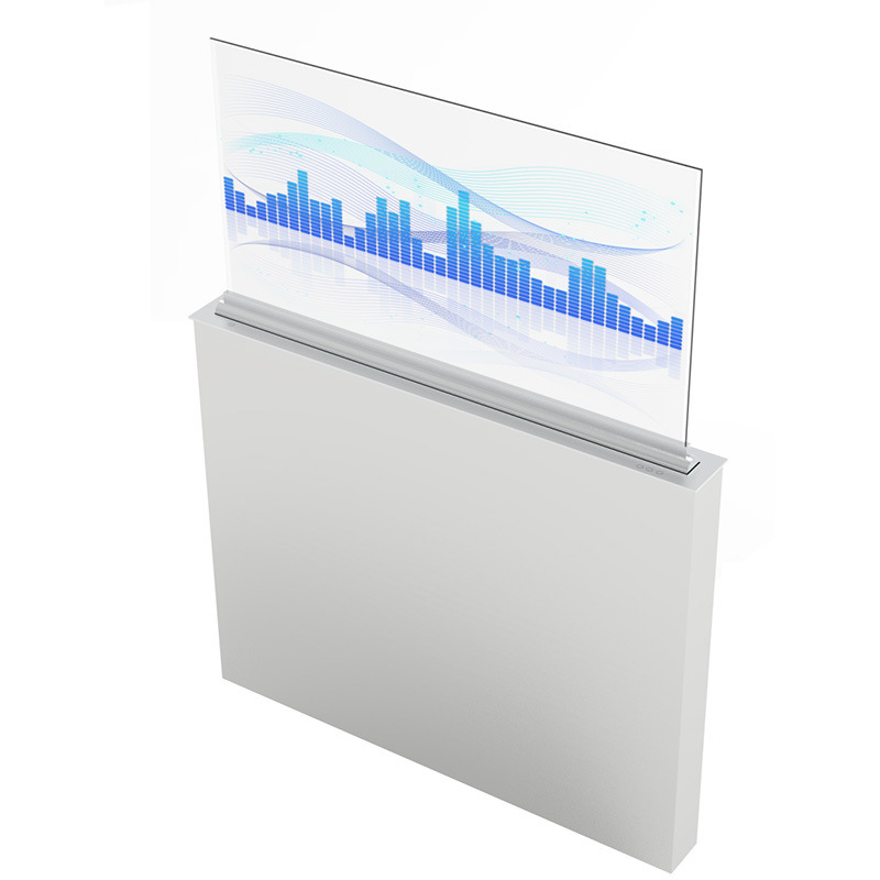 30 Inch Transparent OLED 1920 * 1080 High Contrast Transparent Flexible OLED Display Digital Signage and Display Screen