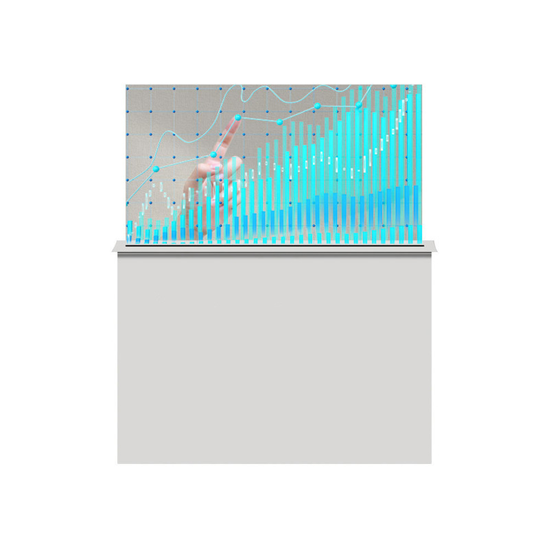 30 Inch Transparent OLED 1920 * 1080 High Contrast Transparent Flexible OLED Display Digital Signage and Display Screen