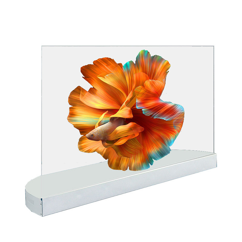 Écrans de télévision transparents OLED 2K HD de bureau horizontaux à écran tactile capacitif de 55 pouces