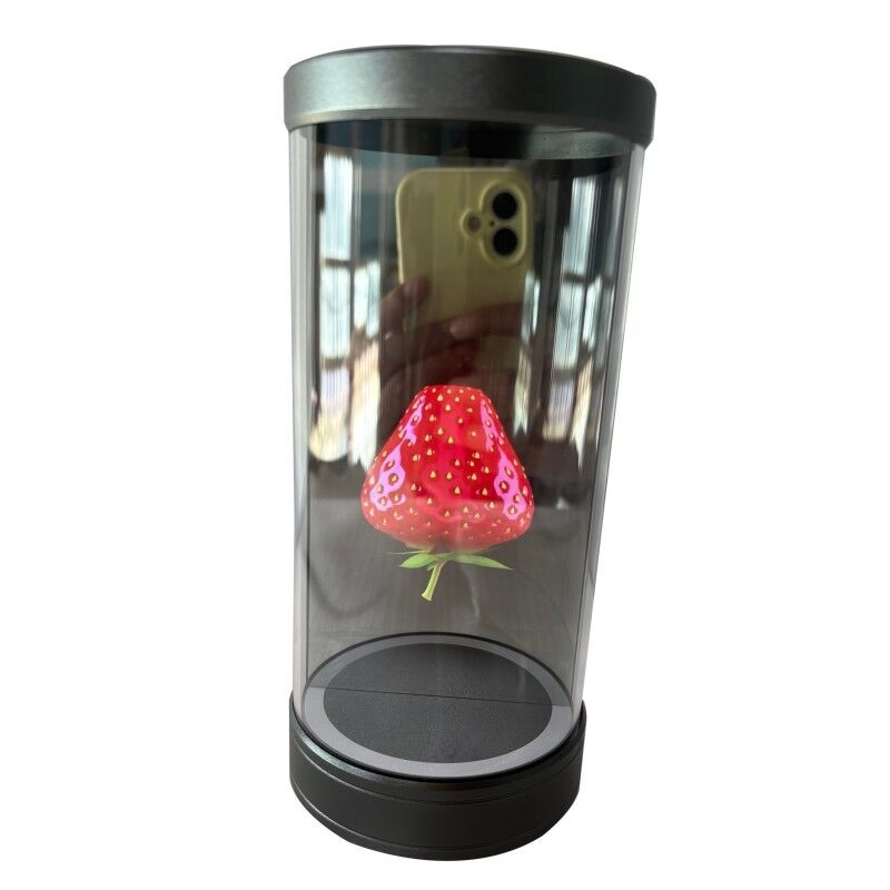 OEM 5.5 Inch Indoor 3D AI Digital Interactive Hologram Showcase Holographic Display Cabinet 170 Viewing Angle 500 cd