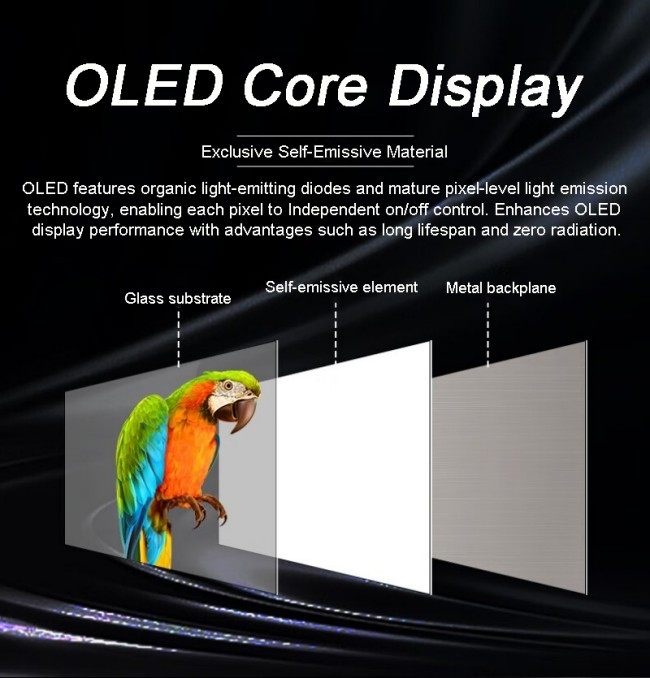 Écran tactile interactif de 55 pouces Smart Transparent OLED Affichage pour exposition bijoux Affichage de luxe 3